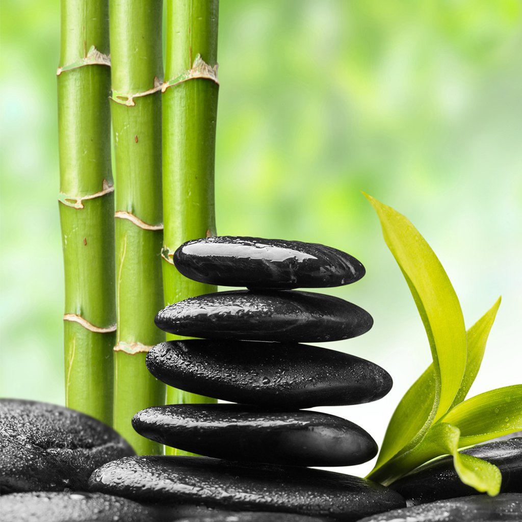 Bamboo Fragrance Oil 253