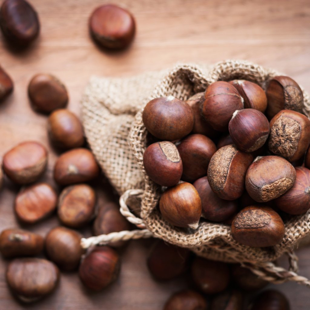 Chestnuts & Brown Sugar FO 402