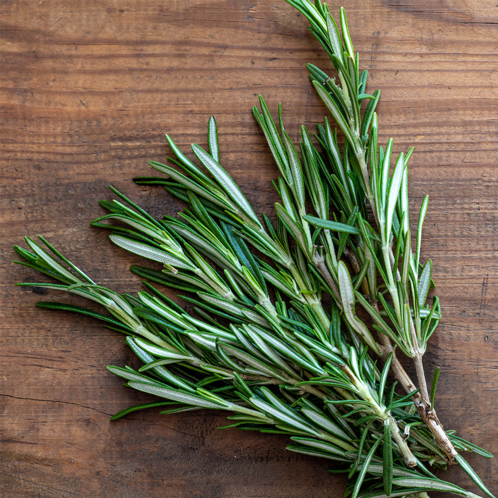 Rosemary EO - Certified 100% Pure 714
