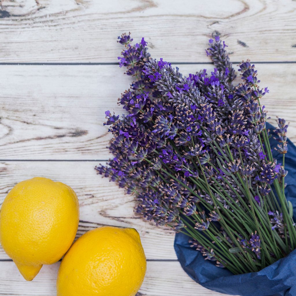 100% Pure Lemon Oil - Premium Lemon Essential Oil for Aromatherapy, Ma –  First Botany