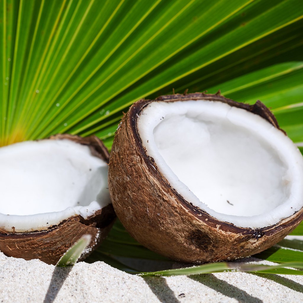 Buy Bulk Coconut Fragrance Oil