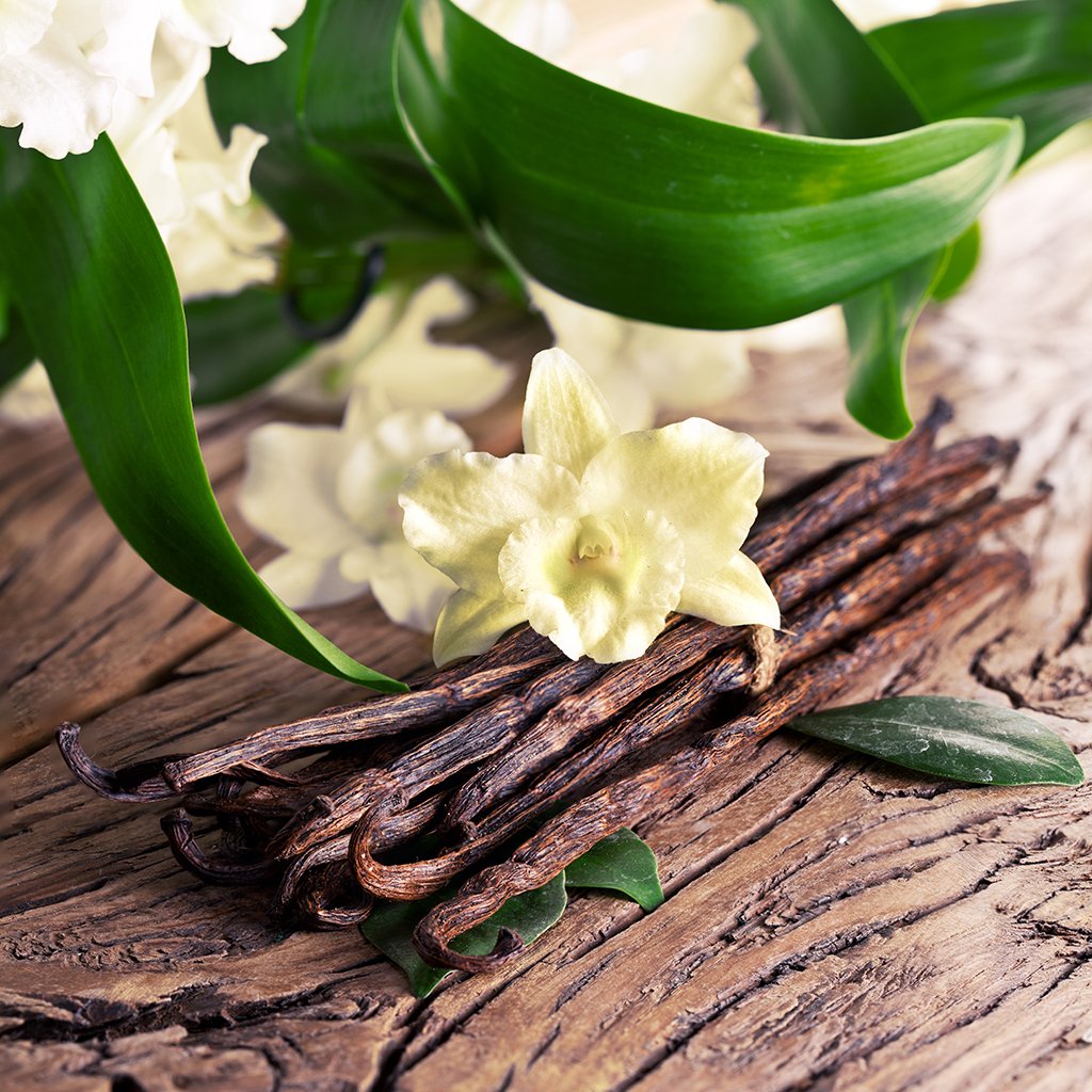 Vanilla Sandalwood Fragrance Oil for Birthday Soap Making Supplies, Body,  Candle Making & Diffuser 