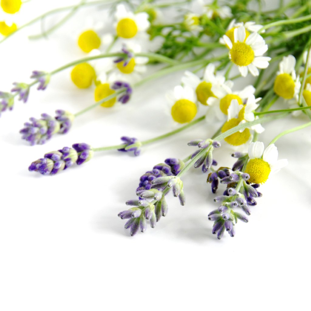Chamomile & Lavender - Natural Fragrance Oil 1166
