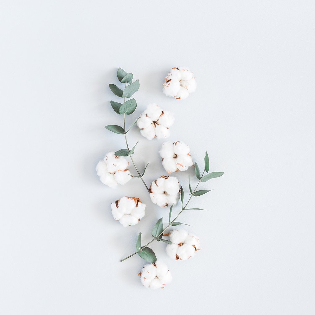 Sun Dried Cotton Fragrance Oil 471