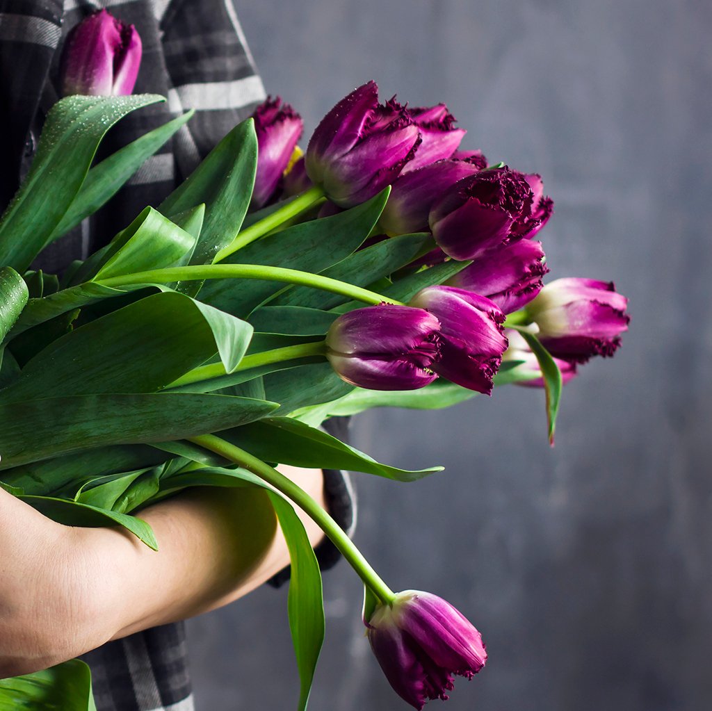 Wild Berry Tulips* Fragrance Oil 603