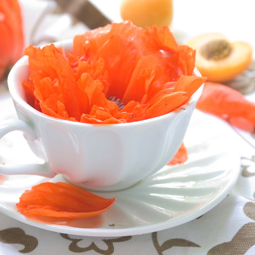 Wild Peach Poppies* Fragrance Oil 817