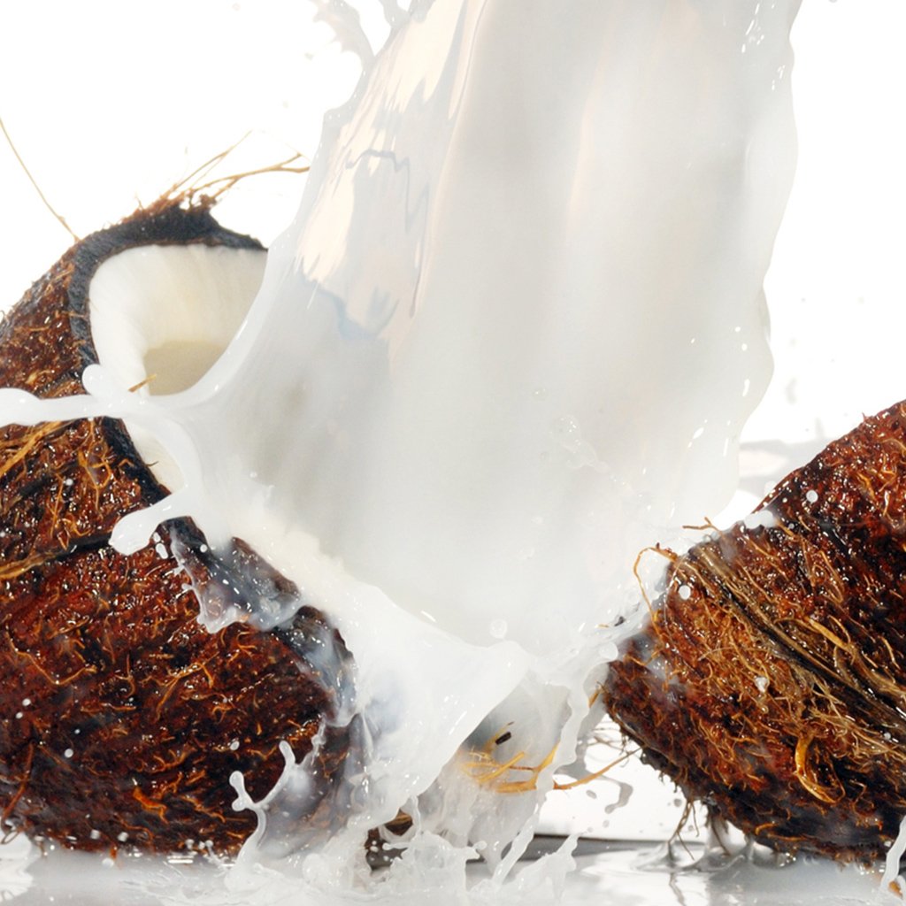 Coconut Milk Fragrance Oil 821
