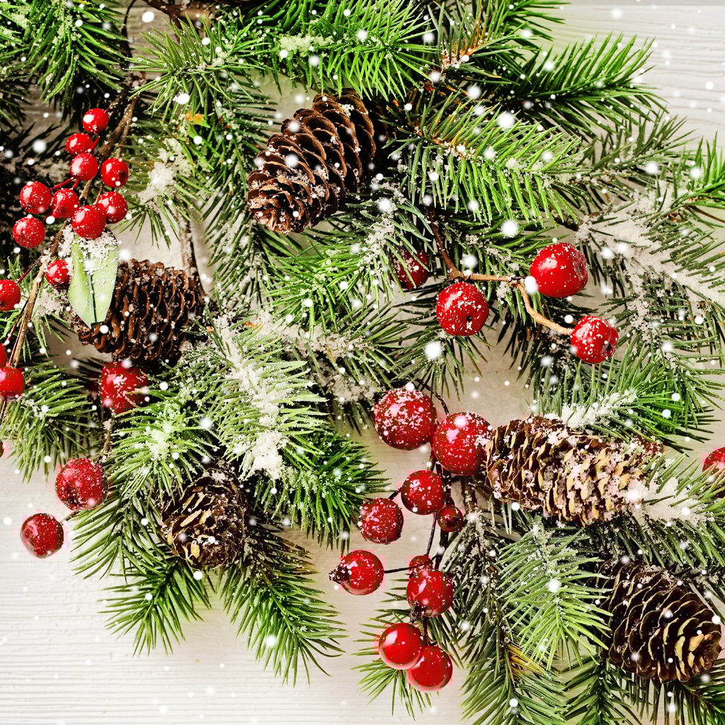Christmas Woods Fragrance Oil 764