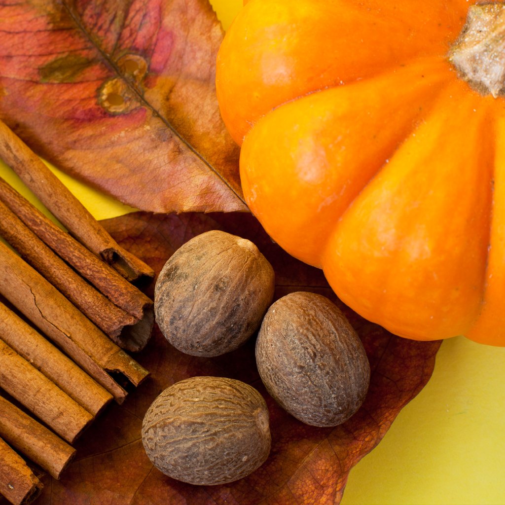 Spiced Pumpkin Fragrance Oil 776
