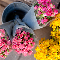 Flower Cart Fragrance Oil 671