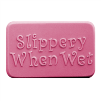 Slippery When Wet Soap Mold (MW 191)