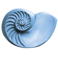 Chambered Nautilus Soap Mold (MW 244)