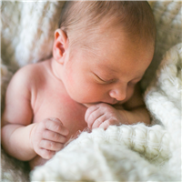 Newborn Kisses Fragrance Oil (Special Order)