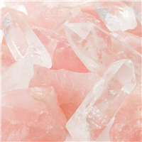 Pink Amber & Vanilla Fragrance Oil 836