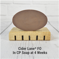 Cider Lane* Fragrance Oil 868