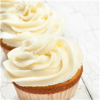 Prosecco Cupcake Fragrance Oil (Special Order)