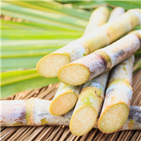 Sun Kissed Sugarcane Fragrance Oil (Special Order)