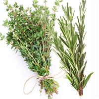 White Thyme & Rosemary Fragrance Oil 940