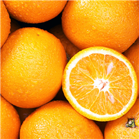 Orange Fragrance Oil - FF# 3 - 11851