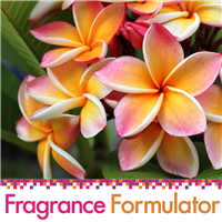 Spiced Floral Fragrance Oil - FF# 18 (Special Orde