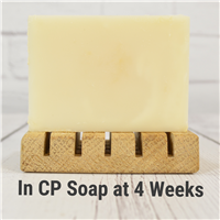 Champagne Fragrance Oil - FF# 22