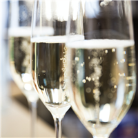 Champagne Fragrance Oil - FF# 22 - 11869