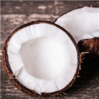 Coconut Fragrance Oil - FF# 23 (Special Order)