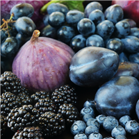 Dark Fruit Fragrance Oil - FF# 24 - 11871