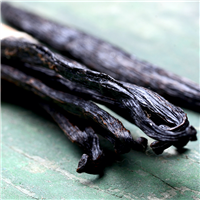 Vanilla Fragrance Oil - FF# 38 (Special Order)