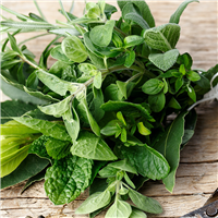 Green Herbal Fragrance Oil - FF# 39 (Special Order