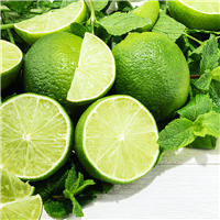 Herbal Citrus Fragrance Oil - FF# 40 (Special Orde