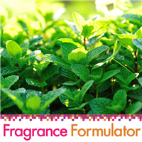 Mint Fragrance Oil - FF# 41 (Special Order)