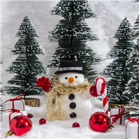 Snowman Poop Fragrance Oil 769