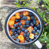 Huckleberry & Mandarin FO (Special Order)