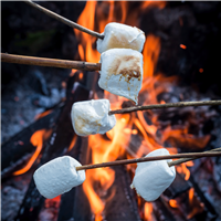 Campfire Marshmallow Fragrance Oil 995