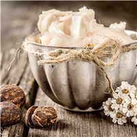 Shea & Santal Fragrance Oil 1027