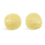 Sand Dollar Mini Mold (LOP 24)