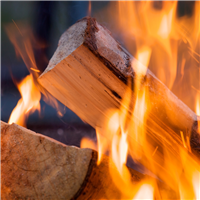 Charred Sandalwood Fragrance Oil 953