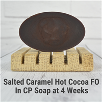Salted Caramel Hot Cocoa Fragrance Oil (Special Or