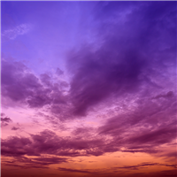 Summer Daze* Fragrance Oil 859
