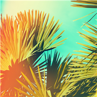 Sunbliss* Fragrance Oil 839