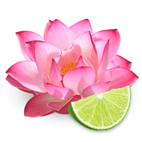 Pink Lotus & Lime Fragrance Oil 1110