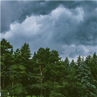 Stormlands Fragrance Oil 1132