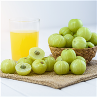 Gooseberry & Birch Water - Natural Fragrance Oil 1