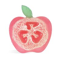 Apple Luffa MP Soap Kit