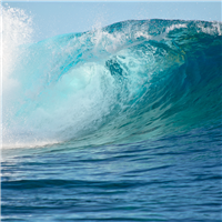 On the Waves* Fragrance Oil 1229