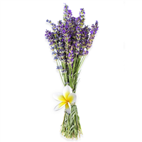 Lavender & Plumeria - Natural Fragrance Oil 1225