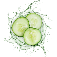 Cucumber Water Essential Hydrosol