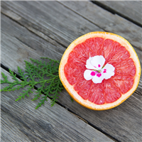 Sea Cypress & Grapefruit Fragrance Oil 911