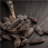 Tonka & Peppercorn - Natural Fragrance Oil 876